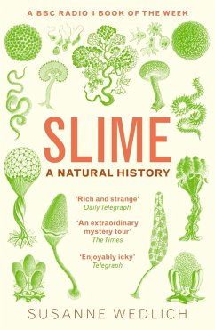 Slime (eBook, ePUB) - Wedlich, Susanne