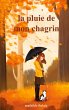 La pluie de mon chagrin - Bild 1