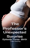 The Professor's Unexpected Surprise: Part Three - Birth (eBook, ePUB) The Professor's Unexpected Surprise: Part Three - Birth (eBook, ePUB)