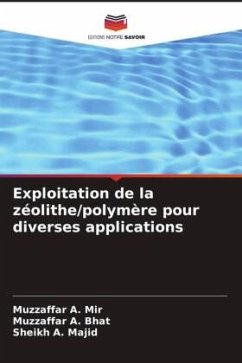 Exploitation de la zéolithe/polymère pour diverses applications - Mir, Muzzaffar A.;Bhat, Muzzaffar A.;Majid, Sheikh A.