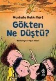 Gökten Ne Düstü