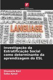 Investigação da Estratificação Social como determinante da aprendizagem do ESL