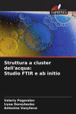Struttura a cluster dell'acqua: Studio FTIR e ab initio