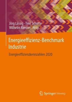 Energieeffizienz-Benchmark Industrie (eBook, PDF)