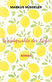 Wendepunkte der Liebe (eBook, ePUB)
