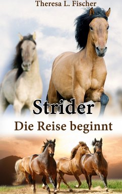 Strider (eBook, ePUB)