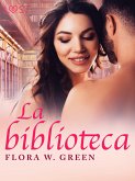 La biblioteca – una novela corta erótica (eBook, ePUB)