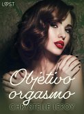 Objetivo orgasmo - un relato corto erótico (eBook, ePUB)