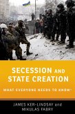 Secession and State Creation (eBook, ePUB)