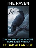 The Raven (eBook, ePUB)