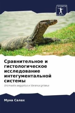 Cover Srawnitel'noe i gistologicheskoe issledowanie integumental'noj sistemy