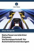 Naturfaserverstärkter Polymer-Verbundwerkstoff für Automobilanwendungen