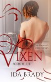 Vixen (The Gamer's Girlfriend, #3) (eBook, ePUB)