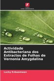 Actividade Antibacteriana dos Extractos de Folhas de Vernonia Amygdalina
