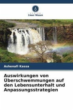 Auswirkungen von Überschwemmungen auf den Lebensunterhalt und Anpassungsstrategien - Kassa, Ashenafi