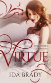 Virtue (The Gamer's Girlfriend, #1) (eBook, ePUB)