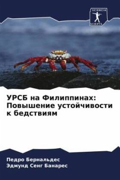 Cover URSB na Filippinah: Powyshenie ustojchiwosti k bedstwiqm