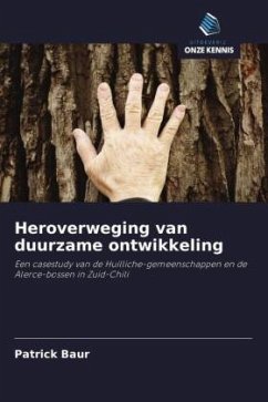 Heroverweging van duurzame ontwikkeling - Baur, Patrick