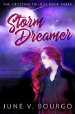 Storm Dreamer (eBook, ePUB)