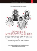 Jóvenes e interseccionalidad: color de piel.etnia.clase. Zona Metropolitana del Valle de México (eBook, ePUB)