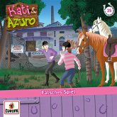 Folge 35: Falsches Spiel (MP3-Download)