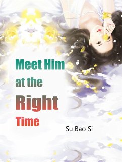 Cover Meet Him at the Right Time (eBook, ePUB)