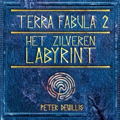 Het zilveren labyrint (MP3-Download) - DeWillis, Peter