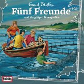 Folge 103: Fünf Freunde und die giftigen Feuerquallen (MP3-Download)