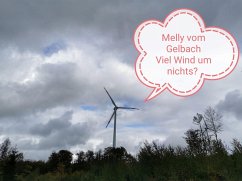 Cover Viel Wind um nichts? (eBook, ePUB)