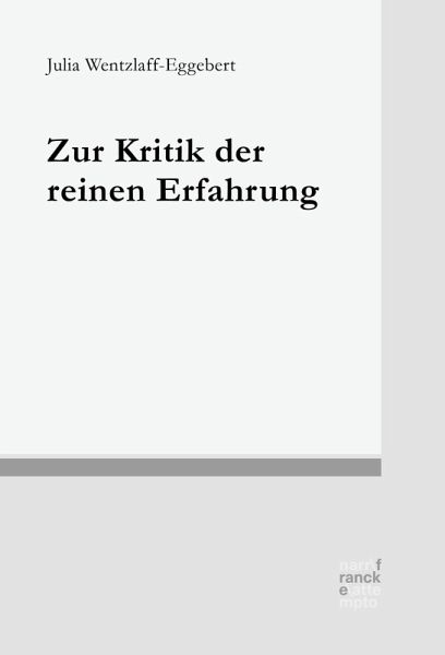 Zur Kritik der reinen Erfahrung (eBook, PDF)