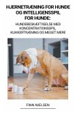 Hjernetræning for Hunde og Intelligensspil for Hunde