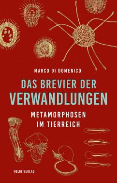 Das Brevier der Verwandlungen - Di Domenico, Marco