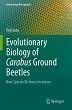 Evolutionary Biology of Carabus Ground... - Bild 1