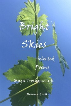 Cover Bright Skies