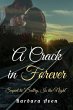 A Crack in Forever (eBook, ePUB) - Bild 1
