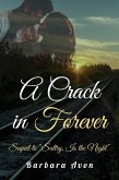 A Crack in Forever (eBook, ePUB)