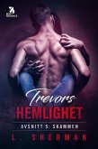 Trevors hemlighet – Skammen (eBook, ePUB)