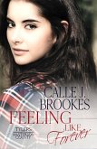 Feeling Like Forever (Masterson County, #9) (eBook, ePUB)