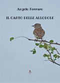 Il canto delle allodole (eBook, ePUB)