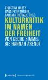 Kulturkritik im Namen der Freiheit (eBook, PDF)