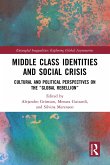Middle Class Identities and Social Crisis (eBook, PDF)