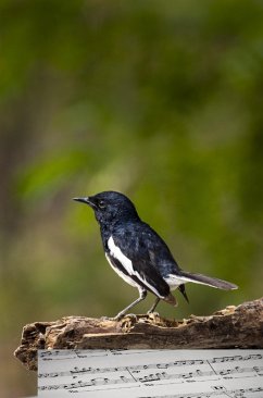 Ouvertüre zum Abschied (eBook, ePUB) - Hovestädt, Wolfgang