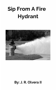 Sip From A Fire Hydrant (eBook, ePUB) - Olvera, J. R.
