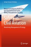 Safety in Civil Aviation (eBook, PDF)