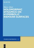 Holomorphic Dynamics on Hyperbolic Riemann Surfaces (eBook, ePUB)