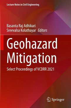 Geohazard Mitigation