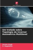 Um tratado sobre Topologia de Inversor Assimétrico Multilevel
