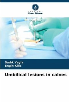 Umbilical lesions in calves - Yayla, Sadik;Kilic, Engin