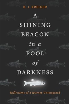 A Shining Beacon in a Pool of Darkness - Kreiger, B J