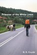 Prisoner of the White Lines - Bild 1